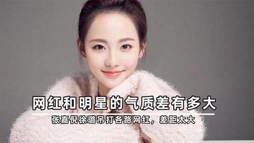 明星网红的差距徐璐,从明星到网红，跨越差距的华丽蜕变