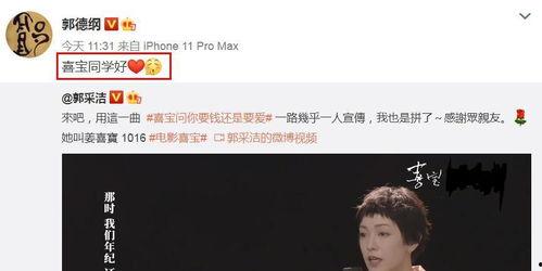 帮宣传东北的明星网红,共筑东北魅力新篇章