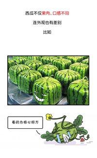 今日吃瓜历史记录最新,揭秘娱乐圈最新热点事件