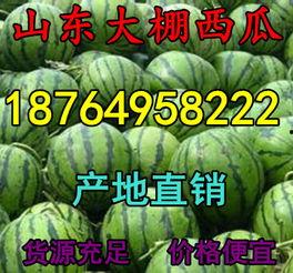 2023礼品瓜今日行情,新鲜热销，价格波动解析