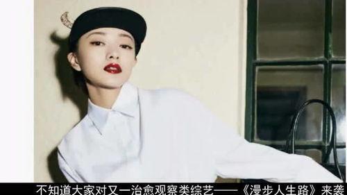明星网红类主播特点