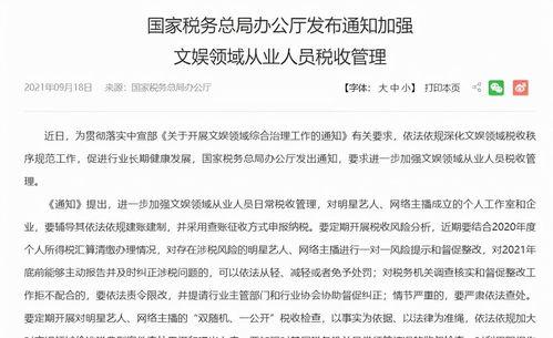 明星网红为何偷漏税,背后的动机与影响