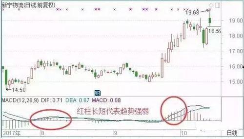 开封今日头条卖瓜事件,网络舆论下的诚信考验