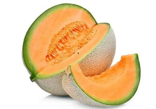 天津今日份瓜价,新鲜上市，价格波动一览