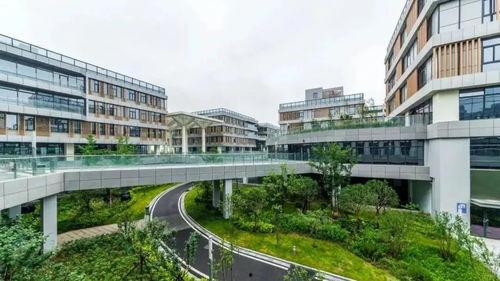 明星网红战地记者名单,揭秘明星网红战地记者的勇敢身影