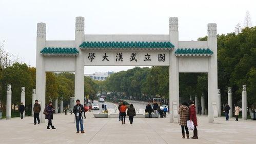 来过喀什大学的明星网红,揭秘网红明星的校园足迹