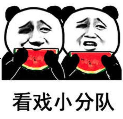 今日吃瓜网友爆笑发言,网友爆笑发言盘点