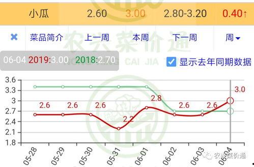 今日小瓜走势图表图,今日行情一览