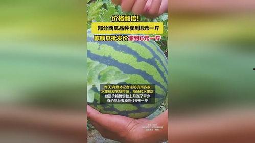 东莞麒麟瓜批发今日行情,价格波动与供需分析