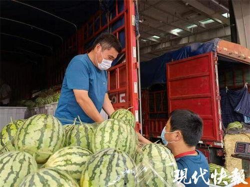 东莞麒麟瓜批发今日行情,价格波动与供需分析