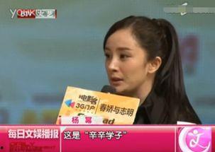 明星网红李老师是谁,明星光环背后的真实人生