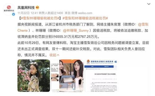 明星网红为什么要交税,揭秘明星网红为何必须依法纳税