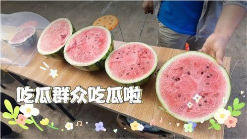 今日吃瓜现状如何,揭秘今日网络热点背后的真相与笑料