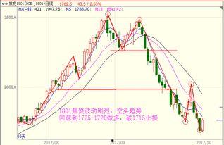 黑瓜今日价格行情最新走势,最新行情解析与趋势展望