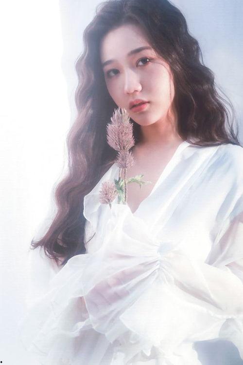 明星网红来延安是谁,共绘红色文化新篇章
