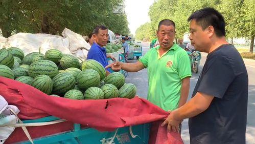 韩寺吊瓜价格今日报价,今日韩寺吊瓜价格行情分析