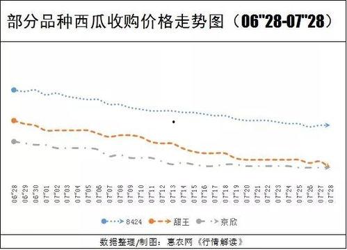 兰州今日瓜价行情查询,时令鲜甜，价格亲民