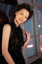 明星网红董卿简介资料,从荧幕女神到网红达人，揭秘她的魅力人生