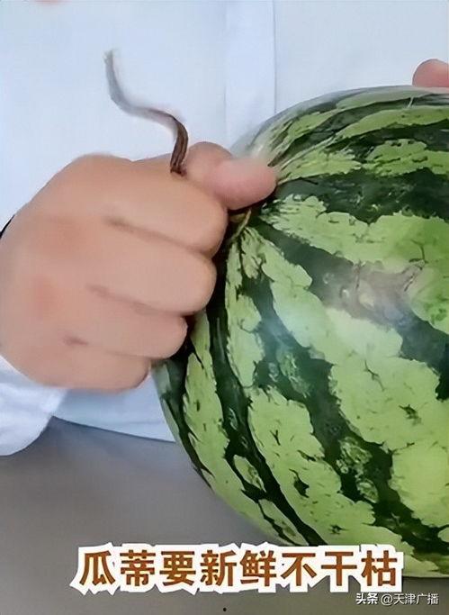 今日听到的瓜,XX事件真相大揭秘