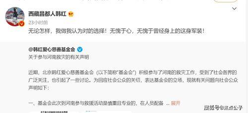 对明星网红的评论语,网络舆论场上的焦点人物解析
