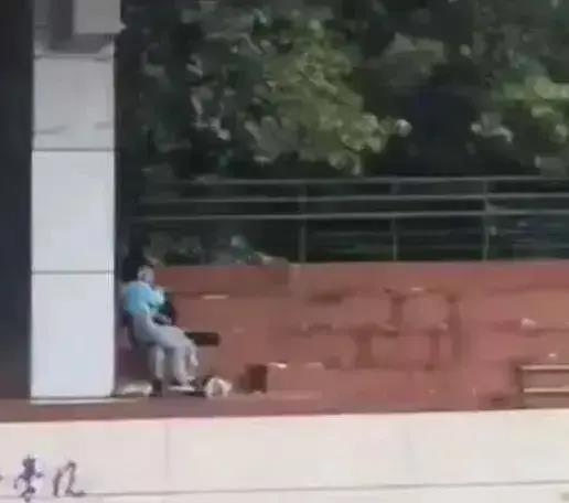 西安今日吃瓜事件视频,一场网络热议背后的真相揭秘