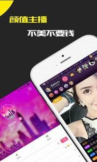 明星网红必备的软件下载,解锁人气密码