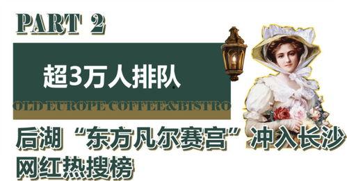 明星网红免费打卡地,明星同款免费热门地点大盘点”