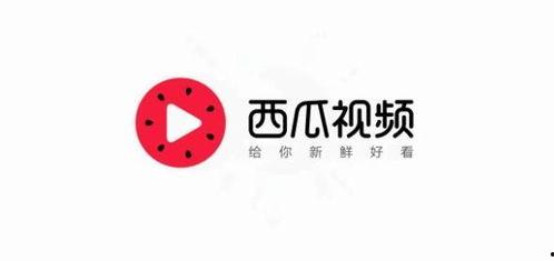 瓜氏今日头条新闻最新,揭秘今日瓜界热点，带你领略新鲜资讯盛宴