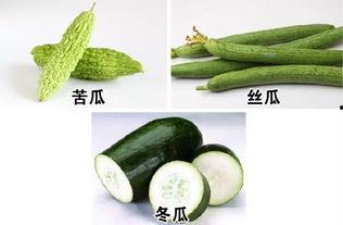 今日入伏你吃瓜了吗,伏天吃瓜趣事多