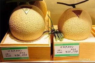 今日包瓜价格,市场行情一览