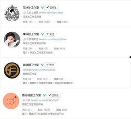 明星网红与资本运作,跨界融合的财富密码
