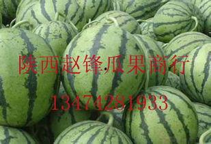 兰考哈密瓜批发今日价格,品质佳价优引关注”