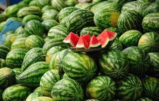 蒙阳麒麟瓜今日价格,价格行情一览