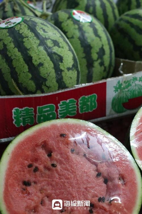甜王瓜今日价格表行情,今日行情一览