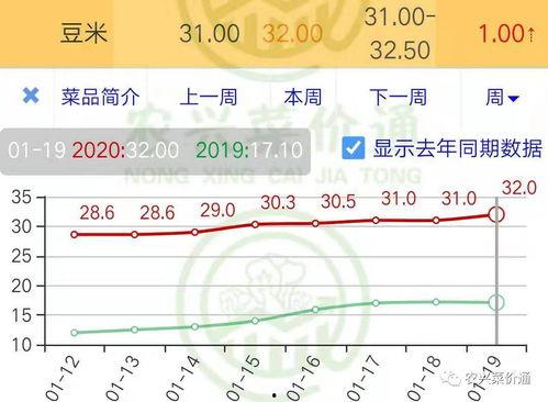 今日小瓜价位走势分析,洞察今日市场动态