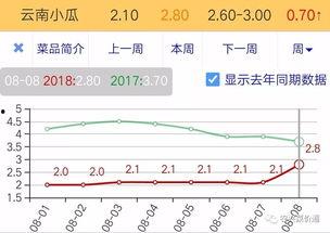 今日小瓜价位走势分析,洞察今日市场动态