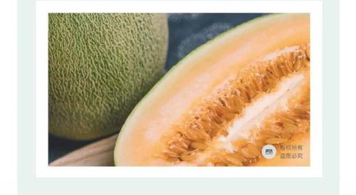 海南皇品蜜瓜今日价格查询,新鲜甜蜜，品质之选