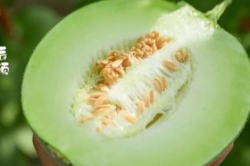 海南皇品蜜瓜今日价格查询,新鲜甜蜜，品质之选