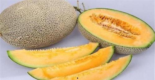 海南皇品蜜瓜今日价格查询,新鲜甜蜜，品质之选