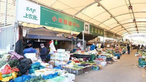 临沂小瓜批发市场今日价格表,临沂小瓜批发市场今日价格行情一览