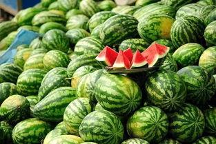 今日热瓜 吃瓜 每日更新.co,每日更新，吃瓜群众必看！”