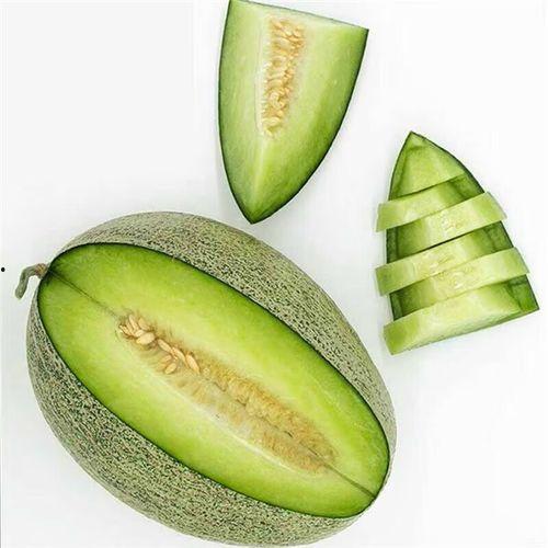 今日四季鲜角瓜价格,四季鲜角瓜市场行情一览”