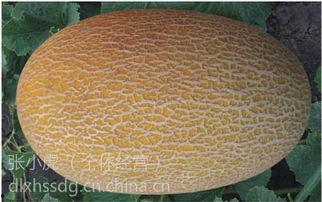 哈密瓜多少钱今日,今日哈密瓜价格行情揭晓