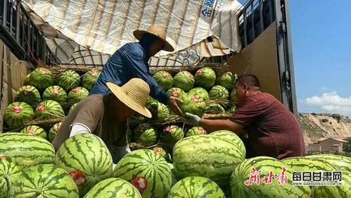 靖远硒砂瓜今日价格表查询,靖远硒砂瓜今日价格行情一览