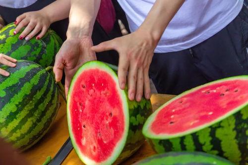 今日四川吃瓜,今日吃瓜指南，揭秘川菜背后的故事