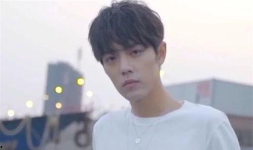 明星网红看肖战视频,网红明星热议视频集锦