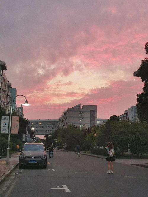 今日份呆瓜啥意思,揭秘网络流行语的趣味与内涵