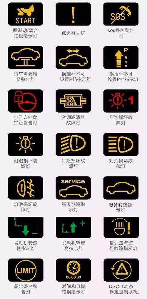 今日份呆瓜啥意思,揭秘网络流行语的趣味与内涵