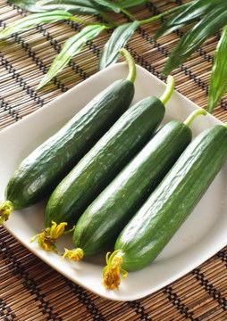 今日荷兰瓜的批发价,品质与价格的完美结合