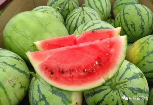 西安今日热门吃瓜事件,今日吃瓜事件揭秘，网友热议不断！